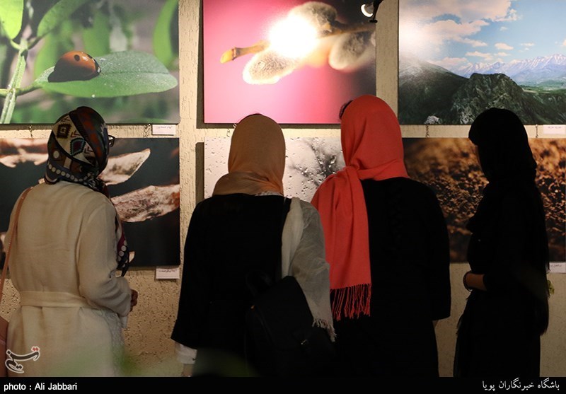 نمایشگاه انفرادی عکس "گز نگاره‌ها" در زابل برپا می‌شود