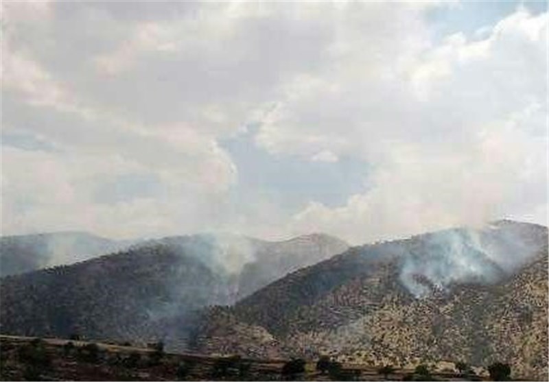 آتش‌سوزی جنگل‌های لرستان حاکی از سوء مدیریت مدیران استان است