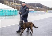 افزایش تدابیر امنیتی در مرز اتریش با آلمان پس از حمله مونیخ