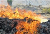 20 هکتار اراضی کشاورزی و 35 هزار عدل کاه در گنبدکاووس در آتش سوخت