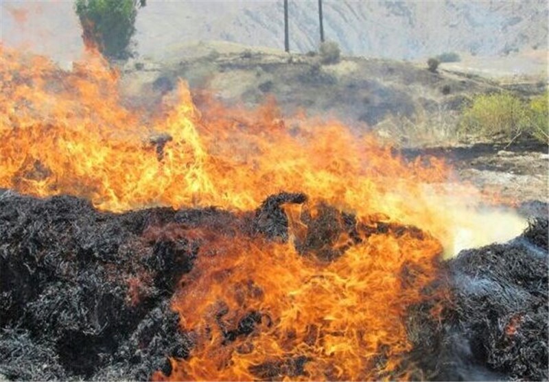 20 هکتار اراضی کشاورزی و 35 هزار عدل کاه در گنبدکاووس در آتش سوخت
