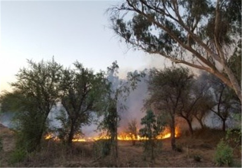 آتش‌سوزی جنگل‌های امامزاده جعفر(ع) گچساران بعد از گذشت 20 ساعت هنوز مهار نشده است