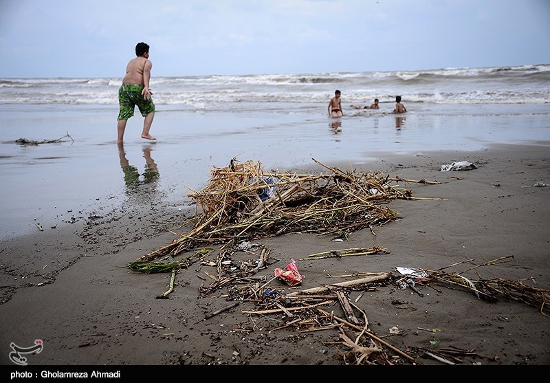 سواحل مازندران دارای آلودگی زیست محیطی است