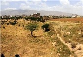 ورود دادستانی برای حفاظت از میراث 6 هزار ساله گلستان