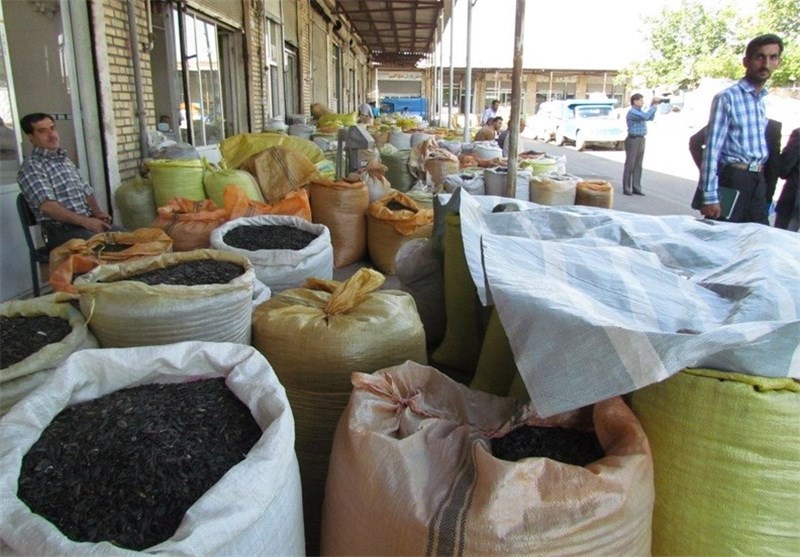 رونق صادرات کشمش با کمک بورس کالا/ دولت باید حمایت کند