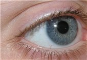 «دانستنیهای چشم پزشکی» کانالی تلگرامی برای سلامت چشم