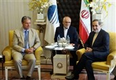 Iran’s Velayati, Turkish Envoy Discuss Regional Developments