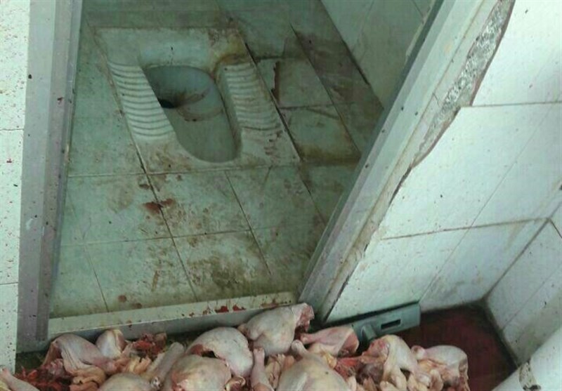 فیلم/شستشوی مرغ در سرویس بهداشتی تایید شد