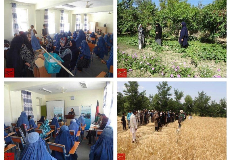 برنامه توانمندسازی فعالیت‌های کوچک کشاورزی در ولایت کابل + عکس