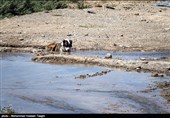 بحران آب ایران| حال وخیم منابع آبی خراسان‌رضوی؛ 77 درصد ظرفیت سدها &quot;پُر از خالی&quot; است+ تصاویر
