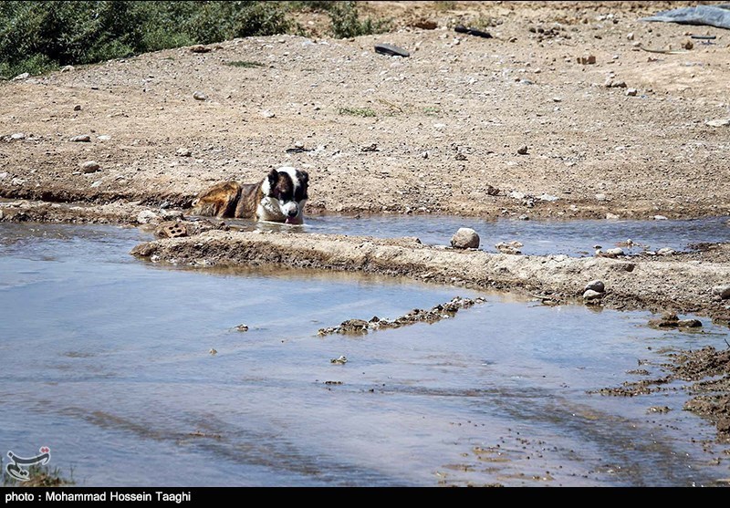 بحران آب ایران| حال وخیم منابع آبی خراسان‌رضوی؛ 77 درصد ظرفیت سدها &quot;پُر از خالی&quot; است+ تصاویر