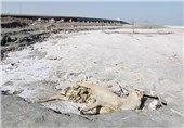 ارومیه| سیاست‌های غلط عامل بحران در &quot;دریاچه ارومیه&quot; است