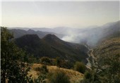 300 هکتار از مرتع شهرستان کنگاور در آتش سوخت/ درخواست فرمانداری از مردم برای مهار آتش