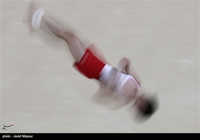 Gymnastics at the 2016 Summer Olympics