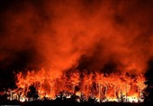 شعله‌ور شدن مجدد آتش سوزی‌های گسترده در جنگل‌های فرانسه