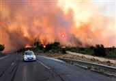 Hundreds of Firefighters Tackle Wildfire in Southern France