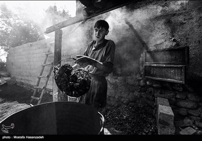 کارگاه تولید ذغال در گلستان در روستای میاندره