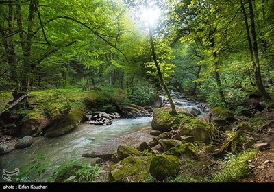 جمال الطبیعة من اسالم الى خلخال