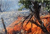 بالگرد سازمان جنگل‌ها برای مهار آتش کوه بیرمی دشتی اعزام می‌شود