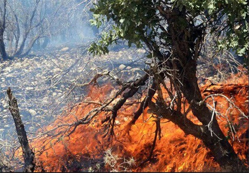 بالگرد سازمان جنگل‌ها برای مهار آتش کوه بیرمی دشتی اعزام می‌شود