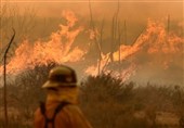 Monstrous California Wildfire Drives over 80,000 from Homes