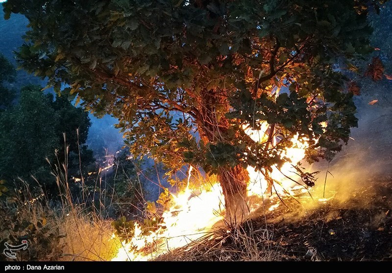 1135 بار جنگلها و مراتع ایران از ابتدای سال دچار آتش‌سوزی شد/ زمین‌خواری 3هزار هکتاری یک نفر