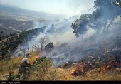 آتش‌سوزی در 4 نقطه از عرصه‌های ملی و طبیعی استان زنجان مهار شد