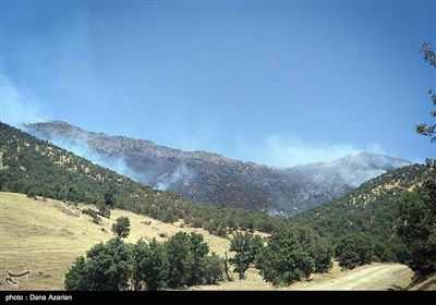 Wildfire Hits Woods West of Iran