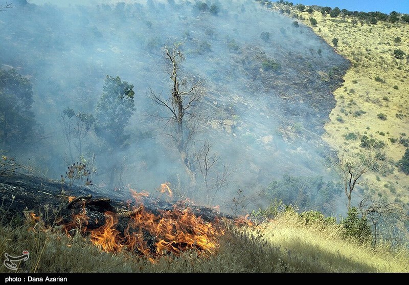 آتش‌سوزی در مرز خراسان شمالی با ترکمنستان مهار شد/30 هکتار از اراضی منابع طبیعی سوخت