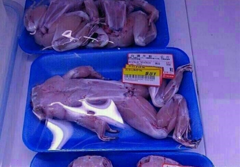 تکذیب فروش گوشت قورباغه در فروشگاه‌های تهران