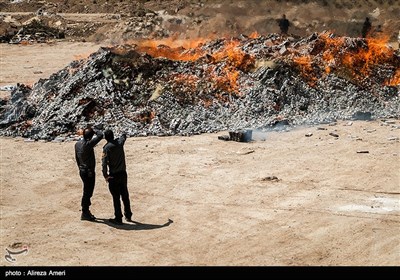 Substantial Quantity of Contraband Cigarettes Destroyed in Southern Iran