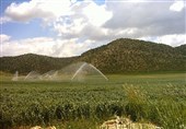 ‌ 1050 میلیارد تومان در سفر رئیس جمهور به بخش کشاورزی استان لرستان اختصاص یافت