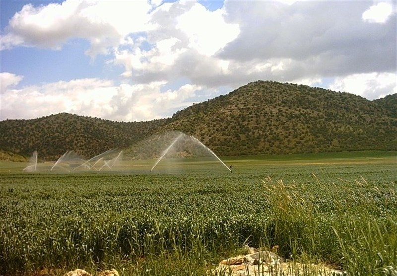 سامانه «اینترانت ترویج و آموزش کشاورزی» در استان لرستان رونمایی شد
