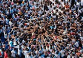 عکس/ تلاش برای تشکیل هرم انسانی در جشنواره &quot; داهی هاندی&quot; هندوها در شهر بمبئی