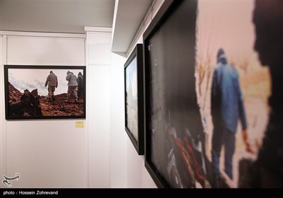 بازدید کدخدایی از نمایشگاه عکس مقاومت با نام زیتون