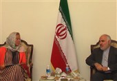 Iranian, UN Envoys in Lebanon Confer on Regional Developments