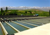 وزیر جهاد کشاورزی : یک‌میلیون و 200 هزار تن انواع آبزیان در کشور تولید می‌شود
