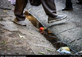 بازار میوه