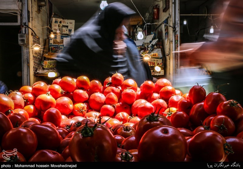 سرمای شمال قیمت پرتقال را در اصفهان افزایش داد