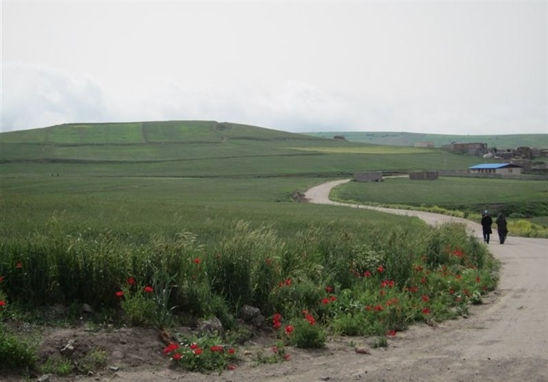 زندگی دوباره در روستای &quot;ججلی بخش ارشق&quot; از سر گرفته شد/ بازگشت به زادگاه پس از 30 سال