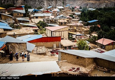 جشنواره برداشت زغال‌ اخته در روستای هیر - قزوین