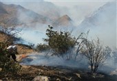 استمرار آتش‌سوزی در استان ایلام/ چهارمین روز سوختن جنگل‌های &quot;تنگه قیر&quot; چرداول