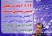 فوتوتیتر/باهنر:FATF باید در مجلس بررسی شود