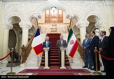 دیدار رؤسای مجالس ایران و فرانسه