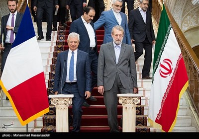 دیدار رؤسای مجالس ایران و فرانسه