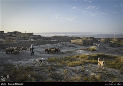 روستای گاه گل فاقد آب شرب مناسب می باشذ