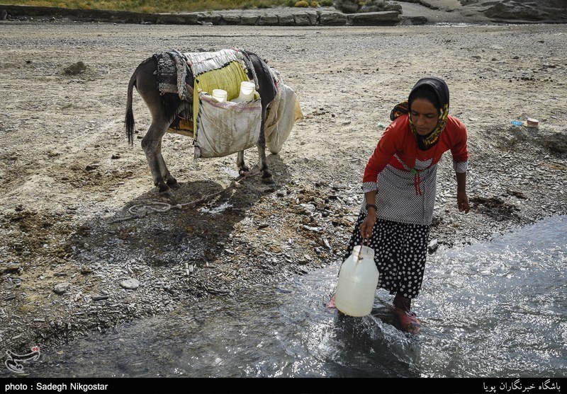50 درصد جمعیت عشایری خراسان جنوبی از آب شرب بهداشتی محروم‌اند