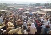 پاکستان میں اس عید الاضحیٰ پر 57 لاکھ جانوروں کی قربانی متوقع