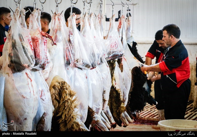 گوشت قربانی تا ۲۴ ساعت مصرف نشود