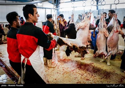  هیچ غرفه‌ای برای توزیع گوشت گوسفندی در تهران دایر نخواهد شد 